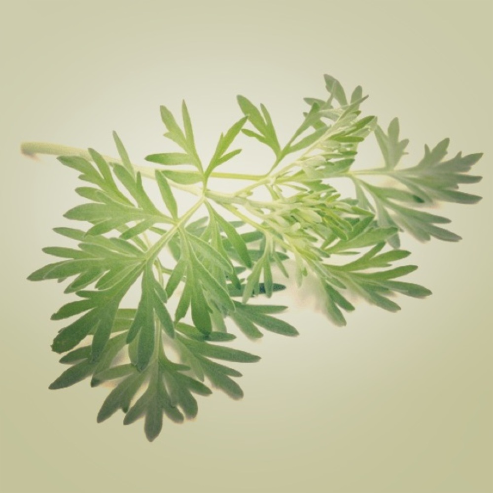 Artisan Garden Themed Decor, Jewelry, Cards & More